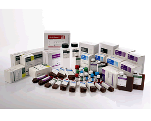 Urea Kit (Urease-GLDH, UV Method) Mindray