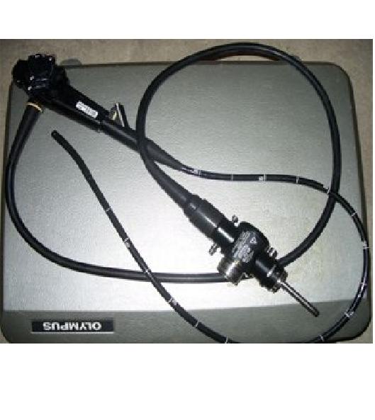 Dây dạ dày Olympus GIF-V
