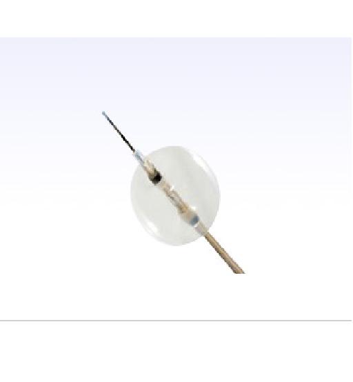 Bóng lấy sỏi ( Stone Extraction Balloons )