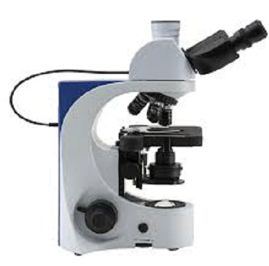 Kính hiển vi sinh học  B-382Pli-ALC Optika