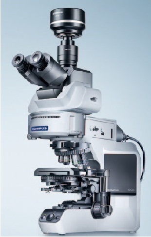 Kính hiển vi truyền hình  BX43 + DP27 Olympys