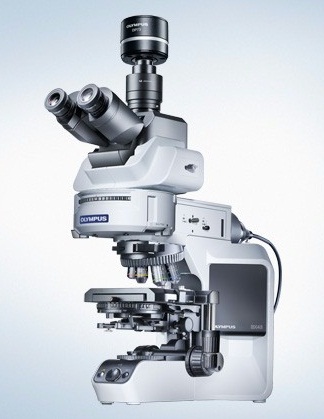 Kính hiển vi BX43 Fluorescence Olympus
