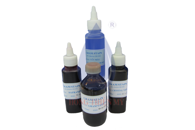 Bộ nhuộm Gram Việt Nam